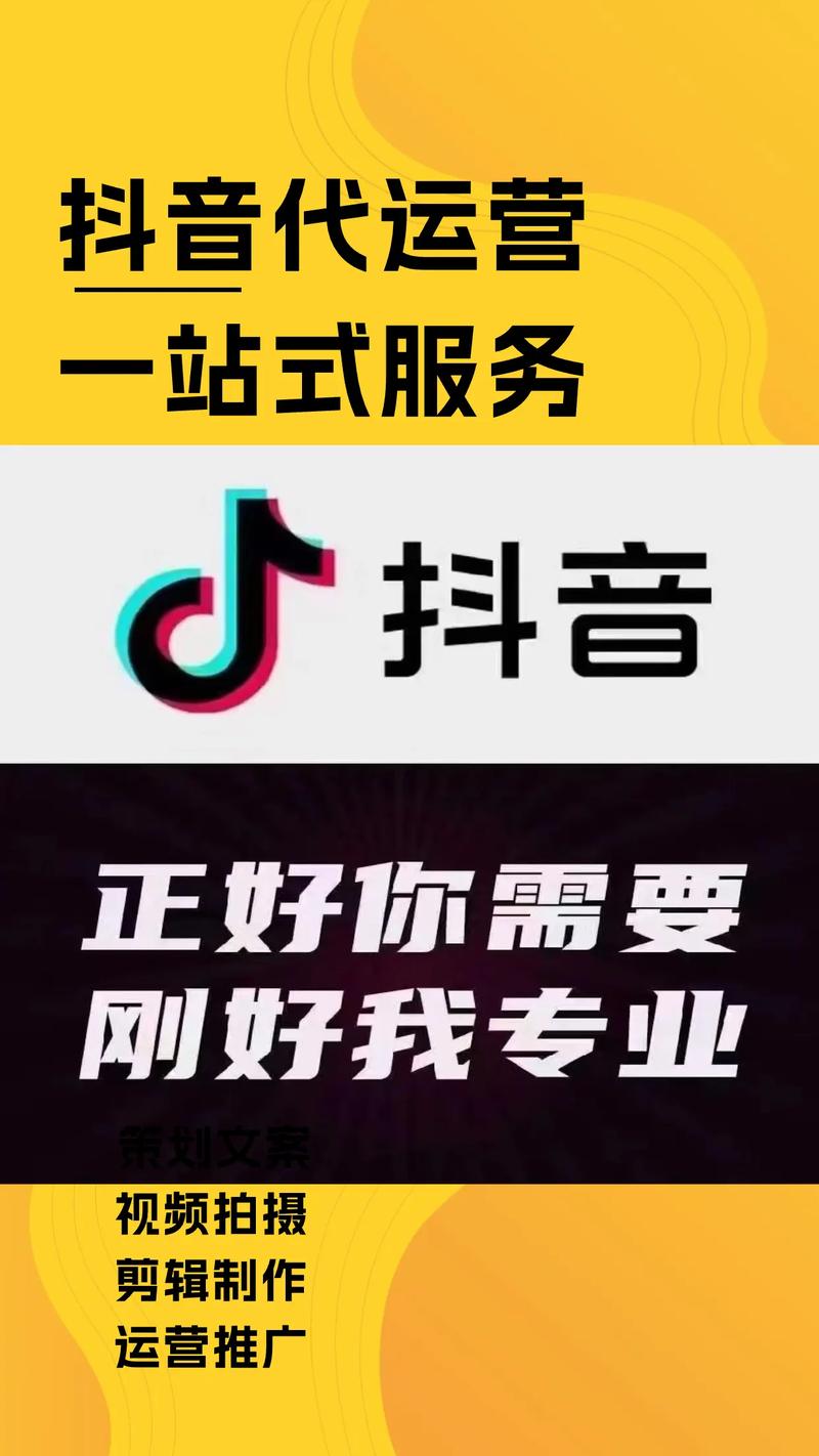 抖音自助业务全网最低性价比如何？-图1